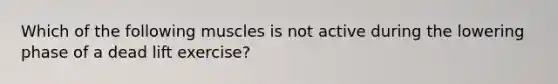 Which of the following muscles is not active during the lowering phase of a dead lift exercise?