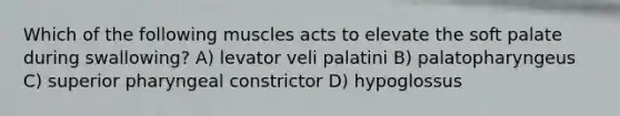 Which of the following muscles acts to elevate the soft palate during swallowing? A) levator veli palatini B) palatopharyngeus C) superior pharyngeal constrictor D) hypoglossus