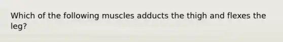 Which of the following muscles adducts the thigh and flexes the leg?