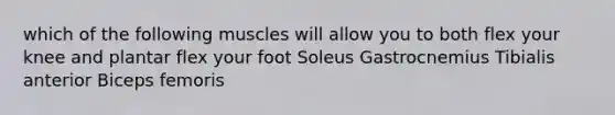 which of the following muscles will allow you to both flex your knee and plantar flex your foot Soleus Gastrocnemius Tibialis anterior Biceps femoris