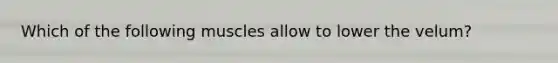 Which of the following muscles allow to lower the velum?