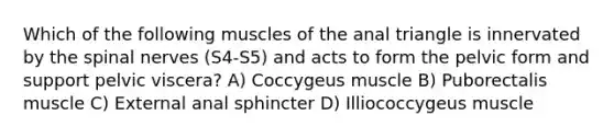 Which of the following muscles of the anal triangle is innervated by the spinal nerves (S4-S5) and acts to form the pelvic form and support pelvic viscera? A) Coccygeus muscle B) Puborectalis muscle C) External anal sphincter D) Illiococcygeus muscle