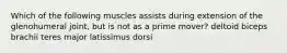 Which of the following muscles assists during extension of the glenohumeral joint, but is not as a prime mover? deltoid biceps brachii teres major latissimus dorsi