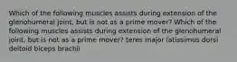 Which of the following muscles assists during extension of the glenohumeral joint, but is not as a prime mover? Which of the following muscles assists during extension of the glenohumeral joint, but is not as a prime mover? teres major latissimus dorsi deltoid biceps brachii