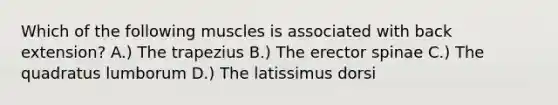 Which of the following muscles is associated with back extension? A.) The trapezius B.) The erector spinae C.) The quadratus lumborum D.) The latissimus dorsi