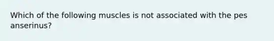 Which of the following muscles is not associated with the pes anserinus?