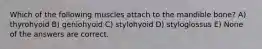 Which of the following muscles attach to the mandible bone? A) thyrohyoid B) geniohyoid C) stylohyoid D) styloglossus E) None of the answers are correct.