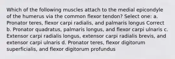 Which of the following muscles attach to the medial epicondyle of the humerus via the common flexor tendon? Select one: a. Pronator teres, flexor carpi radialis, and palmaris longus Correct b. Pronator quadratus, palmaris longus, and flexor carpi ulnaris c. Extensor carpi radialis longus, extensor carpi radialis brevis, and extensor carpi ulnaris d. Pronator teres, flexor digitorum superficialis, and flexor digitorum profundus