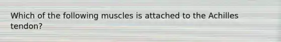 Which of the following muscles is attached to the Achilles tendon?