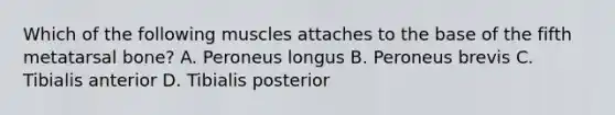 Which of the following muscles attaches to the base of the fifth metatarsal bone? A. Peroneus longus B. Peroneus brevis C. Tibialis anterior D. Tibialis posterior