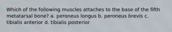 Which of the following muscles attaches to the base of the fifth metatarsal bone? a. peroneus longus b. peroneus brevis c. tibialis anterior d. tibialis posterior