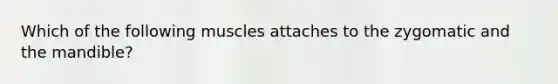 Which of the following muscles attaches to the zygomatic and the mandible?