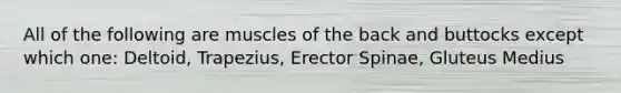 All of the following are muscles of the back and buttocks except which one: Deltoid, Trapezius, Erector Spinae, Gluteus Medius