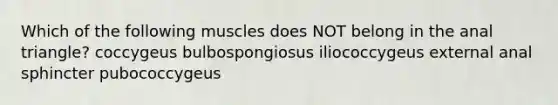 Which of the following muscles does NOT belong in the anal triangle? coccygeus bulbospongiosus iliococcygeus external anal sphincter pubococcygeus