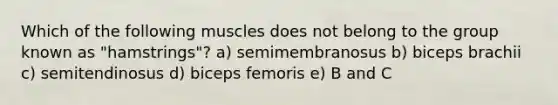 Which of the following muscles does not belong to the group known as "hamstrings"? a) semimembranosus b) biceps brachii c) semitendinosus d) biceps femoris e) B and C