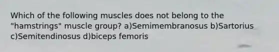 Which of the following muscles does not belong to the "hamstrings" muscle group? a)Semimembranosus b)Sartorius c)Semitendinosus d)biceps femoris