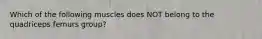 Which of the following muscles does NOT belong to the quadriceps femurs group?
