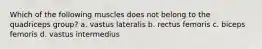 Which of the following muscles does not belong to the quadriceps group? a. vastus lateralis b. rectus femoris c. biceps femoris d. vastus intermedius