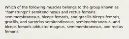 Which of the following muscles belongs to the group known as "hamstrings"? semitendinosus and rectus femoris semimembranosus, biceps femoris, and gracilis biceps femoris, gracilis, and sartorius semitendinosus, semimembranosus, and biceps femoris adductor magnus, semimembranosus, and rectus femoris