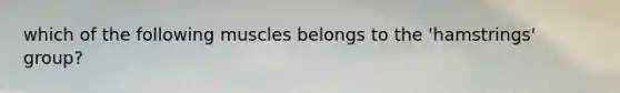 which of the following muscles belongs to the 'hamstrings' group?