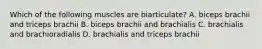 Which of the following muscles are biarticulate? A. biceps brachii and triceps brachii B. biceps brachii and brachialis C. brachialis and brachioradialis D. brachialis and triceps brachii