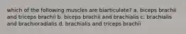 which of the following muscles are biarticulate? a. biceps brachii and triceps brachii b. biceps brachii and brachialis c. brachialis and brachioradialis d. brachialis and triceps brachii