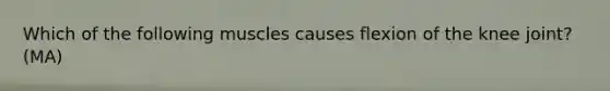 Which of the following muscles causes flexion of the knee joint? (MA)