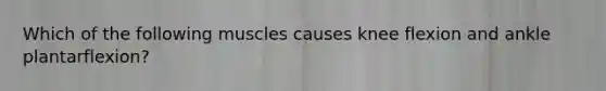 Which of the following muscles causes knee flexion and ankle plantarflexion?