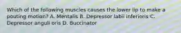 Which of the following muscles causes the lower lip to make a pouting motion? A. Mentalis B. Depressor labii inferioris C. Depressor anguli oris D. Buccinator