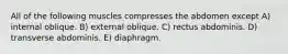 All of the following muscles compresses the abdomen except A) internal oblique. B) external oblique. C) rectus abdominis. D) transverse abdominis. E) diaphragm.