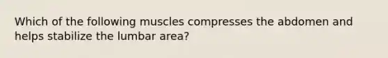 Which of the following muscles compresses the abdomen and helps stabilize the lumbar area?