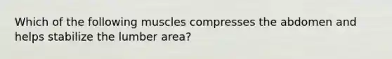 Which of the following muscles compresses the abdomen and helps stabilize the lumber area?