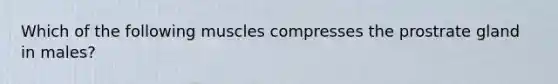 Which of the following muscles compresses the prostrate gland in males?