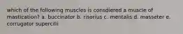 which of the following muscles is consdiered a muscle of mastication? a. buccinator b. risorius c. mentalis d. masseter e. corrugator supercilii