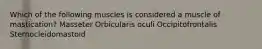 Which of the following muscles is considered a muscle of mastication? Masseter Orbicularis oculi Occipitofrontalis Sternocleidomastoid