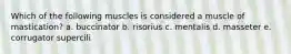 Which of the following muscles is considered a muscle of mastication? a. buccinator b. risorius c. mentalis d. masseter e. corrugator supercili
