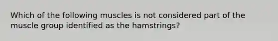 Which of the following muscles is not considered part of the muscle group identified as the hamstrings?