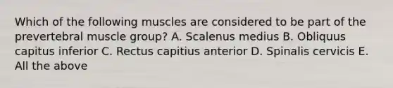 Which of the following muscles are considered to be part of the prevertebral muscle group? A. Scalenus medius B. Obliquus capitus inferior C. Rectus capitius anterior D. Spinalis cervicis E. All the above