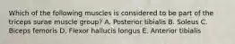 Which of the following muscles is considered to be part of the triceps surae muscle group? A. Posterior tibialis B. Soleus C. Biceps femoris D. Flexor hallucis longus E. Anterior tibialis