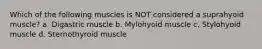 Which of the following muscles is NOT considered a suprahyoid muscle? a. Digastric muscle b. Mylohyoid muscle c. Stylohyoid muscle d. Sternothyroid muscle