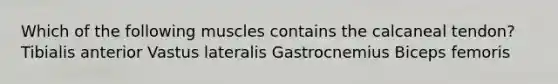 Which of the following muscles contains the calcaneal tendon? Tibialis anterior Vastus lateralis Gastrocnemius Biceps femoris