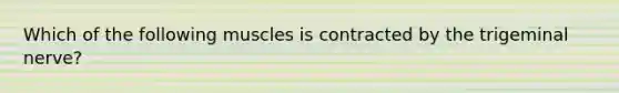 Which of the following muscles is contracted by the trigeminal nerve?