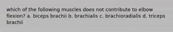 which of the following muscles does not contribute to elbow flexion? a. biceps brachii b. brachialis c. brachioradialis d. triceps brachii