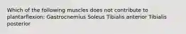 Which of the following muscles does not contribute to plantarflexion: Gastrocnemius Soleus Tibialis anterior Tibialis posterior