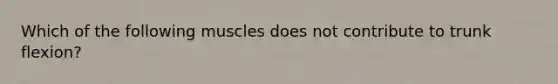 Which of the following muscles does not contribute to trunk flexion?