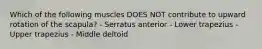 Which of the following muscles DOES NOT contribute to upward rotation of the scapula? - Serratus anterior - Lower trapezius - Upper trapezius - Middle deltoid