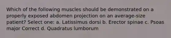 Which of the following muscles should be demonstrated on a properly exposed abdomen projection on an average-size patient? Select one: a. Latissimus dorsi b. Erector spinae c. Psoas major Correct d. Quadratus lumborum