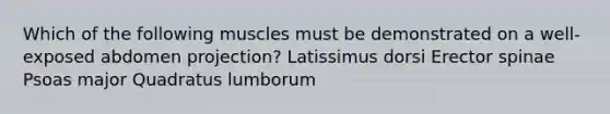 Which of the following muscles must be demonstrated on a well-exposed abdomen projection? Latissimus dorsi Erector spinae Psoas major Quadratus lumborum