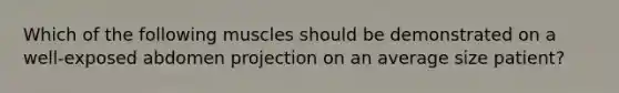 Which of the following muscles should be demonstrated on a well-exposed abdomen projection on an average size patient?