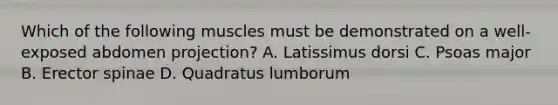 Which of the following muscles must be demonstrated on a well-exposed abdomen projection? A. Latissimus dorsi C. Psoas major B. Erector spinae D. Quadratus lumborum